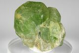 Green Olivine Peridot Crystal Cluster - Pakistan #185282-1